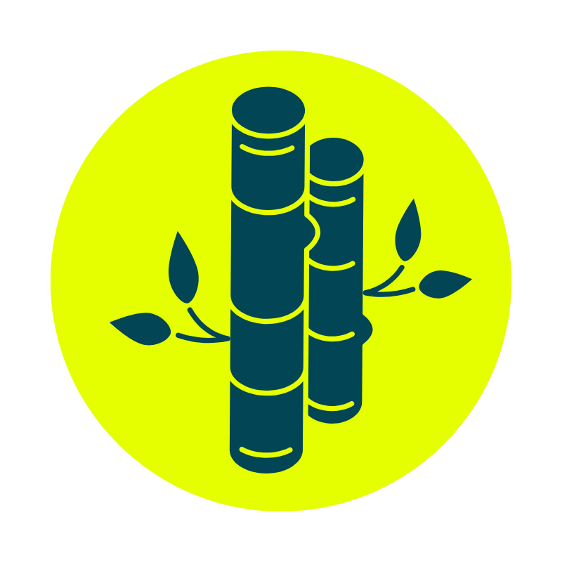 BAMBOO BASED